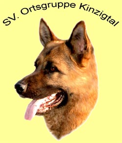 SV-OG-Kinzigtal Logo